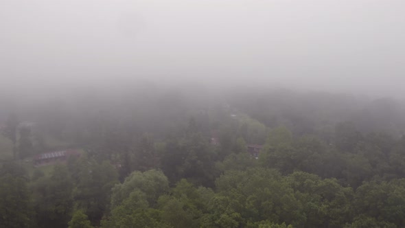 Aerial drone shot above trees in mist