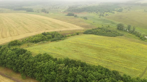 Flight Over a Striped Wheat Fields After Harvest in Autumn. Aerial View of Autumn Rural Landscape.