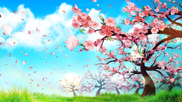 Cherry Blossom Petals Falling Down During The Day (4K) alt