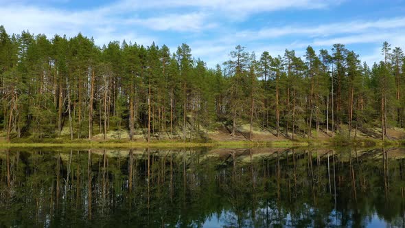 Lake and Forest in Finland