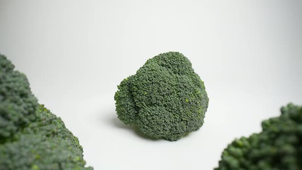 Fresh Green Broccoli 77