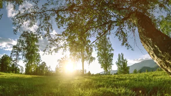 Mountain Meadow Timelapse at the Summer or Autumn Time