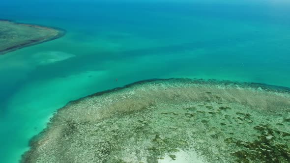 View of Amazing Coral Reefs. Picturesque Drone View of Tranquil Blue Sea and Beautiful Coral Reefs