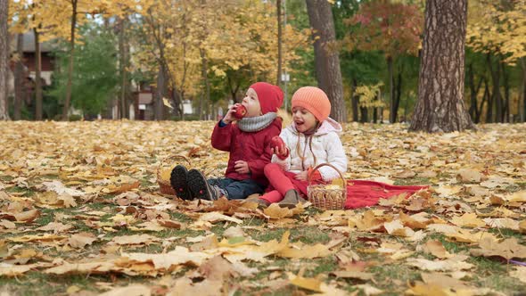 Little Preschool Kid Siblings Girl And Boy Smiling On Plaid Yellow Fallen Leaves In Basket Picnic