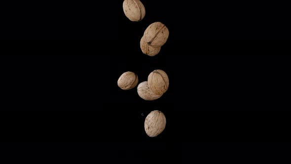Flying Walnuts on a Black Background