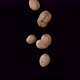 Flying Walnuts on a Black Background - VideoHive Item for Sale