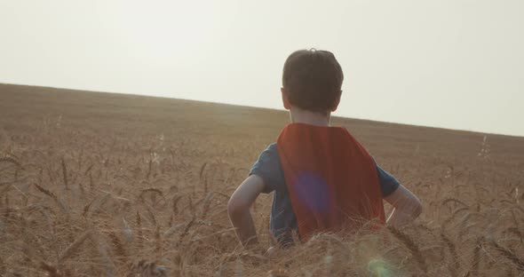 Young boy with a superhero cape stands in a golden field during sunset - raising hands in victory