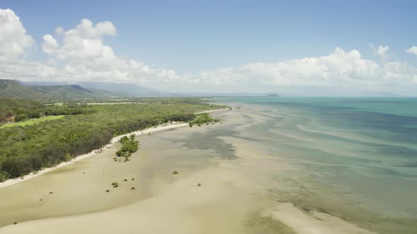 Aerial, Low Tide And Huge Sand Ocean Bed And Mangroves Growing In Queensland Australia