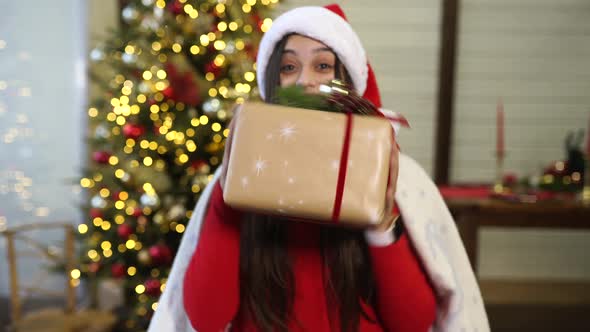 Girl with a Christmas Present on the Background of the Christmas Tree