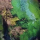 Aerial drone view of a beautiful natural spring on a sunny day - VideoHive Item for Sale