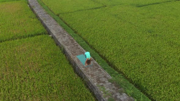 Aerial Slowmotion Shot of a Young Woman Practicing Yoga on a Beautiful Rice Field