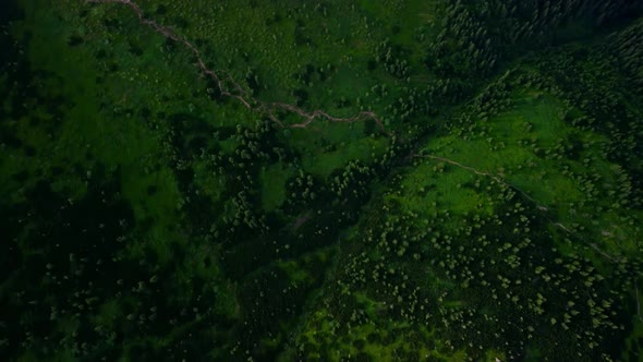 Aerial View of Carpathian Mountains rage, view from above on the forest and hiking trail