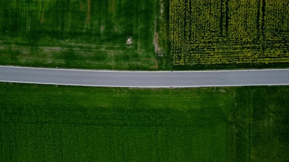 Red cars is passing by a small house in the country side