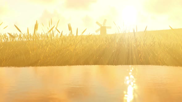 Windmills In Sunset alt