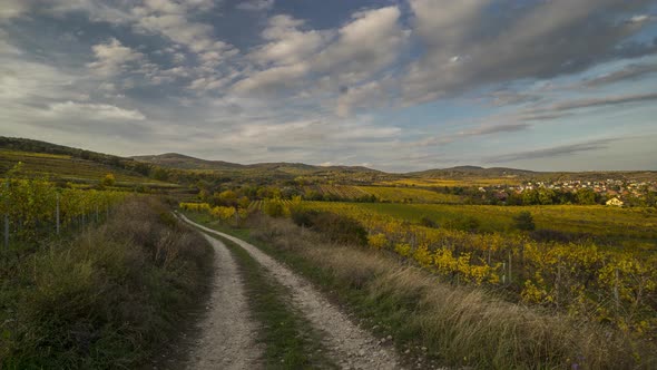 Time lapse of Slovak vineyards 