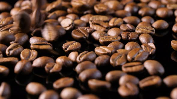 Roasted coffee beans. Slow motion of arabica coffee seeds falling. / Videohive