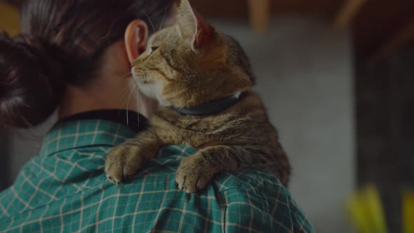 Happy Domestic Cat Bunting on Owners Face Indoors