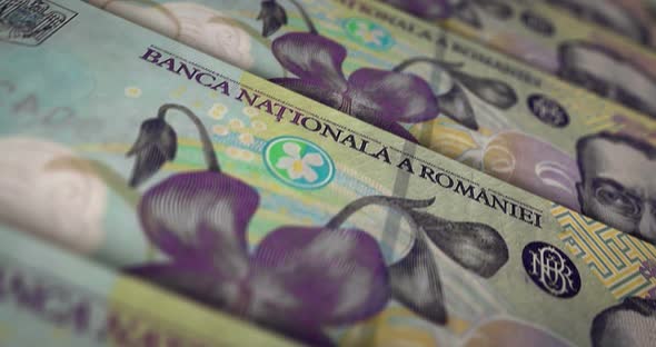 Romanian Lei money banknote surface loop