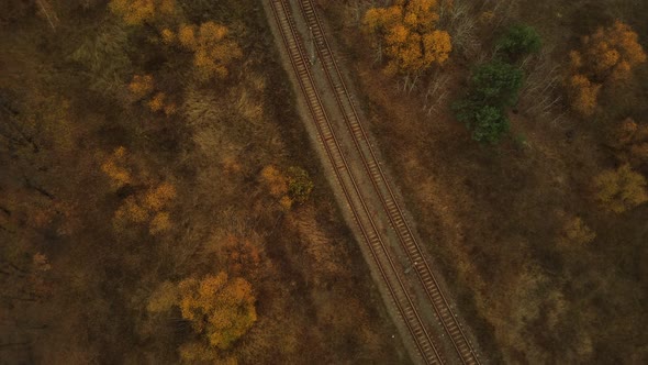 Aerial View of Trees Near Rail in Autumn Season