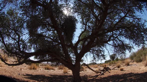 Africa Desert Sun Time Lapse