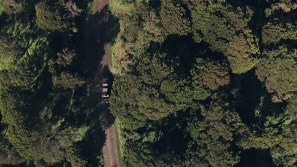 Wheel drive vehicle driving through forest scenery in Aberdare National Park, Kenya, Africa. Aeria