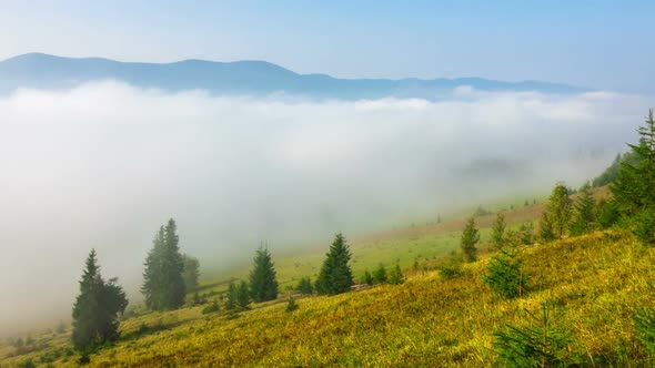 Misty Morning in the Mountains