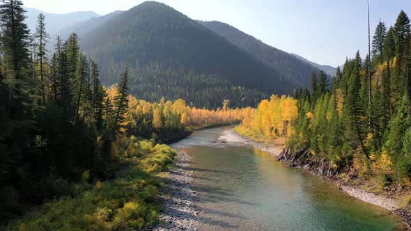 Beautiful Fall Colors Of A Forest Surrounding A Shallow Stream By The Mountainside in glacier nation