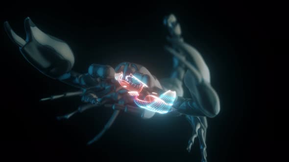 Scorpion In Isolated Black Background With Close Up Camera Animation And Particles 4k