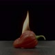 Red chili Habanero on fire on black background - VideoHive Item for Sale