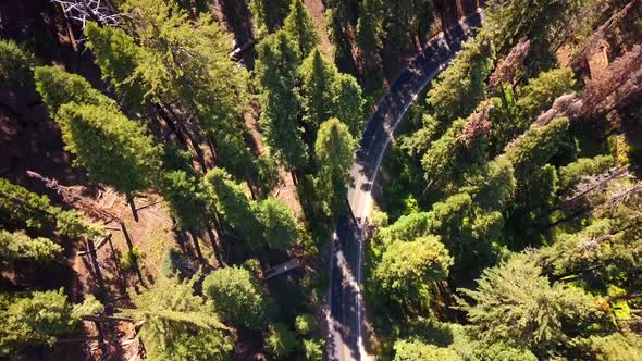 Sequoia National Park