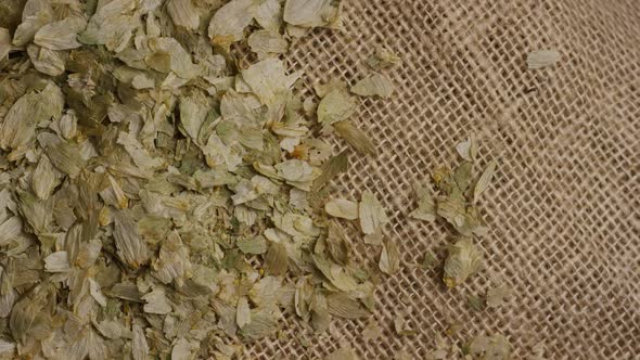 Rotating shot of barley and other beer brewing ingredients