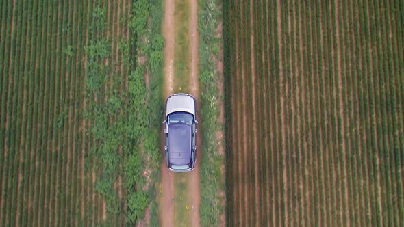Bird's Eye View of a Luxury SUV Driving Off Road