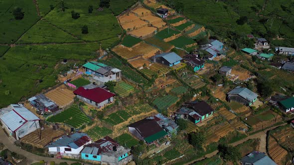 Aerial view of houses in countryside near Nuwara Eliya, Sri Lanka