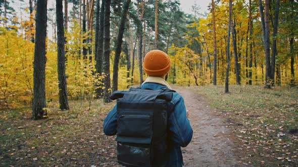 Alone Man Backpacker Walking in Autumn Forest  Enjoying Adventure Trip Back View Fast Motion