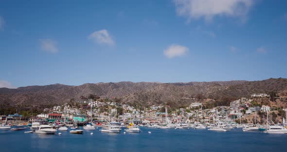 Bay and Town of Avalon on Catalina Island