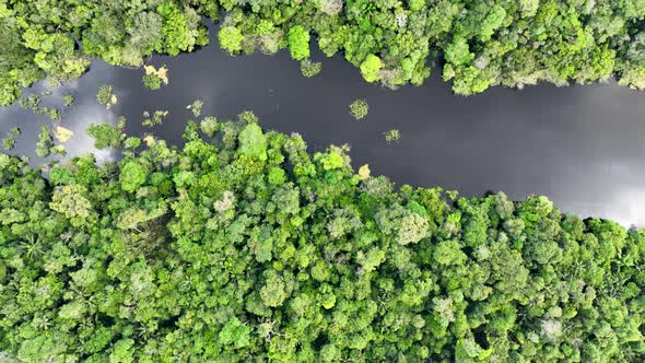 Stunning landscape of Amazon Forest at Amazonas State Brazil.