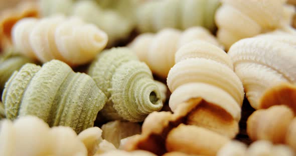 Various conchiglie pasta on white background