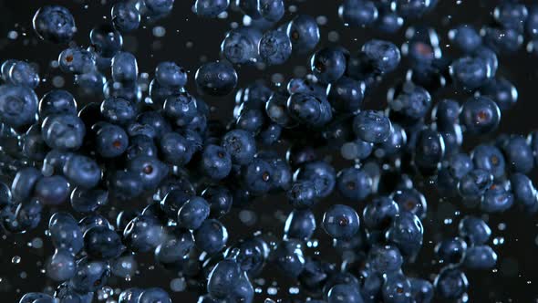 Super Slow Motion Shot of Flying Fresh Blueberries Isolated on Black at 1000 Fps