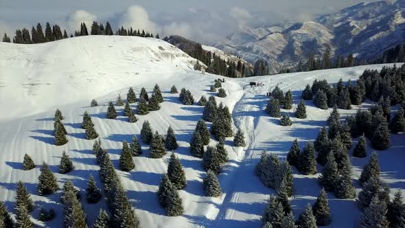 View of Snowy Mountains and Forest