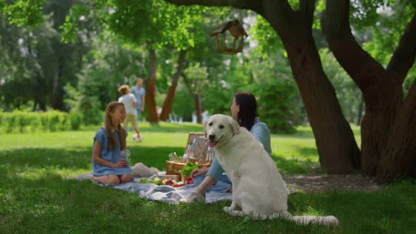 Happy Golden Retriever Sitting Near Resting Family