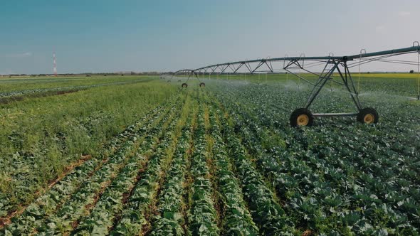 Irrigation of Agricultural Field