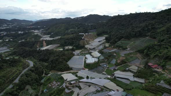 Cameron Highlands, Pahang Malaysia