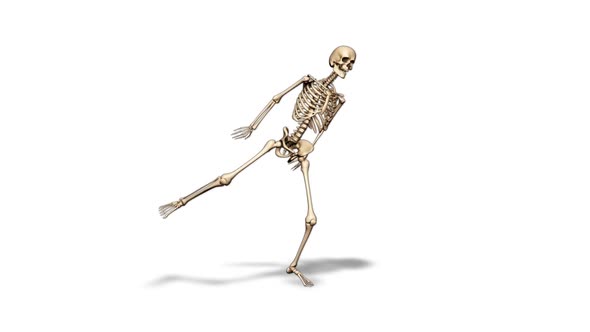 3D Skeleton Fun Dance  Looped on White