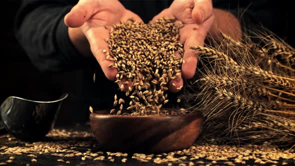 Super Slow Motion of Rye Grains Fall From the Hands of a Man in a Bowl