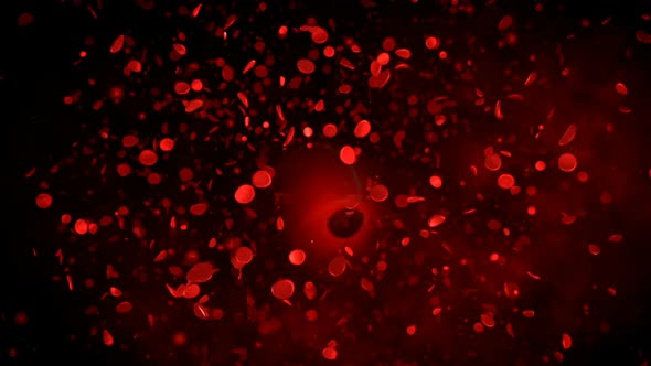 Red Blood Cells