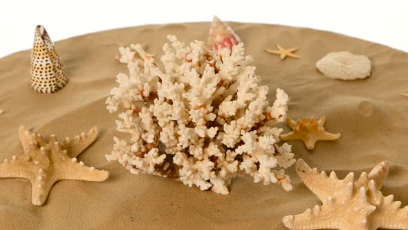 Background of Sand, Shells and Sea Star, Rotation