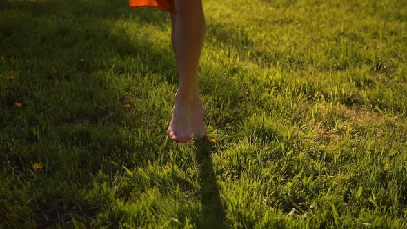 Female's Feet Running By Grass in Park, Barefoot.