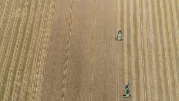 Combine Harvester on Wheat Field