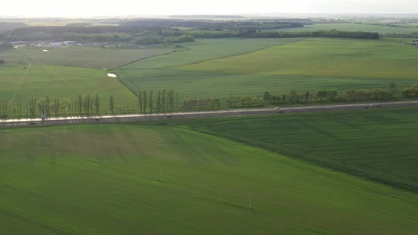 Top View of the Sown Green in Belarus