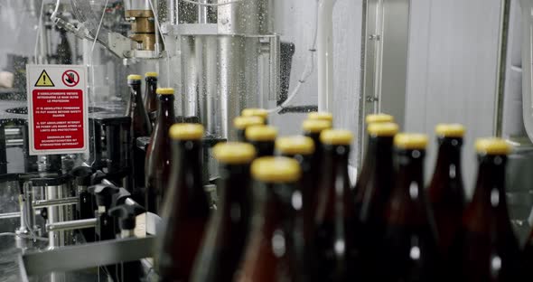 Capping process of full beer bottles. Machine for capping bottles. Factory brewery